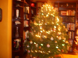 Christams Tree in fornt of bookcases